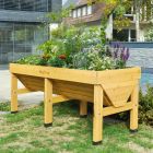 VegTrug